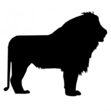 Animal Kingdom Episode 001 – LION