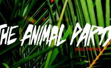 The Animal Party [NYC] Halloween 2014 Recap